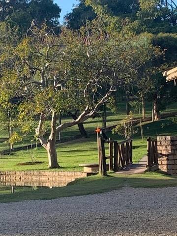 Casa, 4 quartos, 400 m² - Foto 19