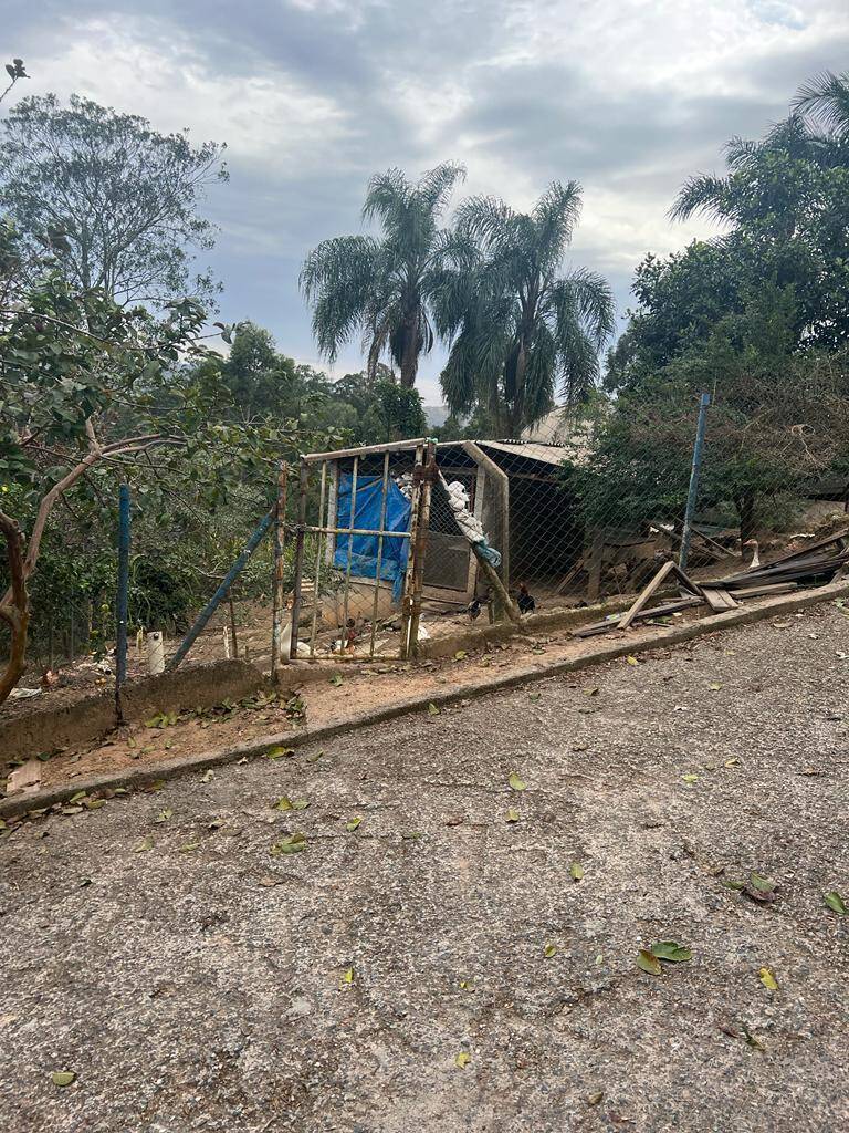 Casa, 6 quartos, 5000 m² - Foto 22