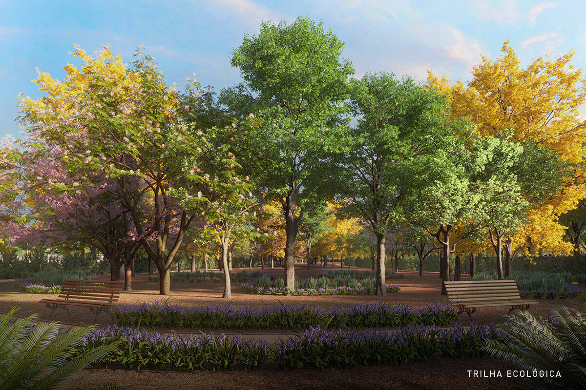 Terreno, 360 m² - Foto 19