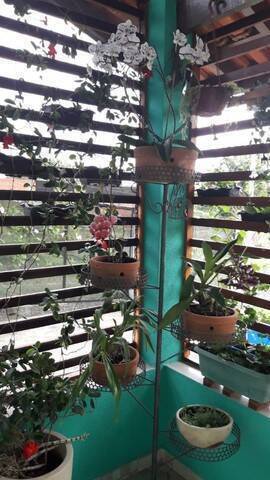 Chácara à venda com 3 quartos, 120m² - Foto 6