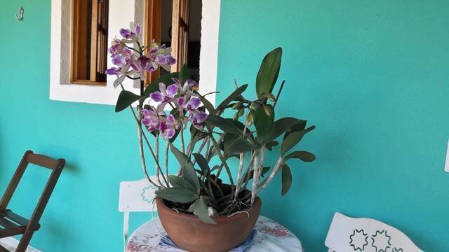Chácara à venda com 3 quartos, 120m² - Foto 13