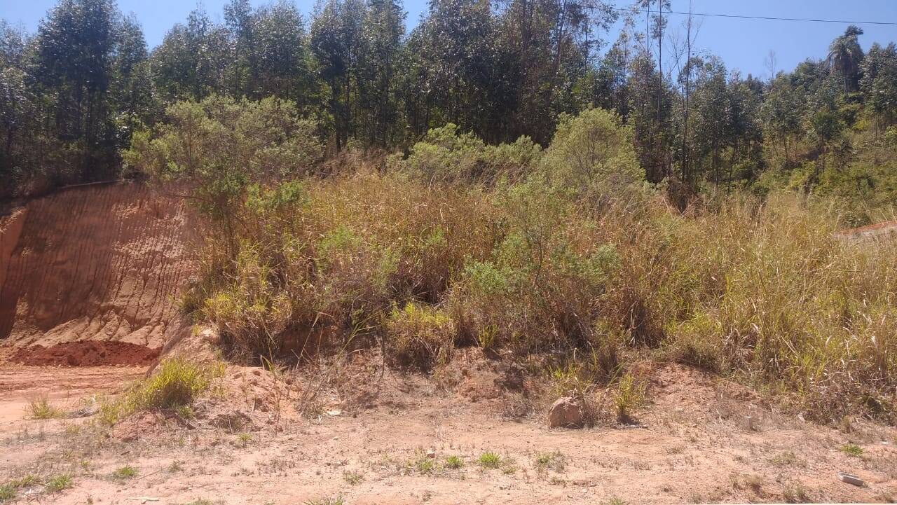 Terreno, 250 m² - Foto 6