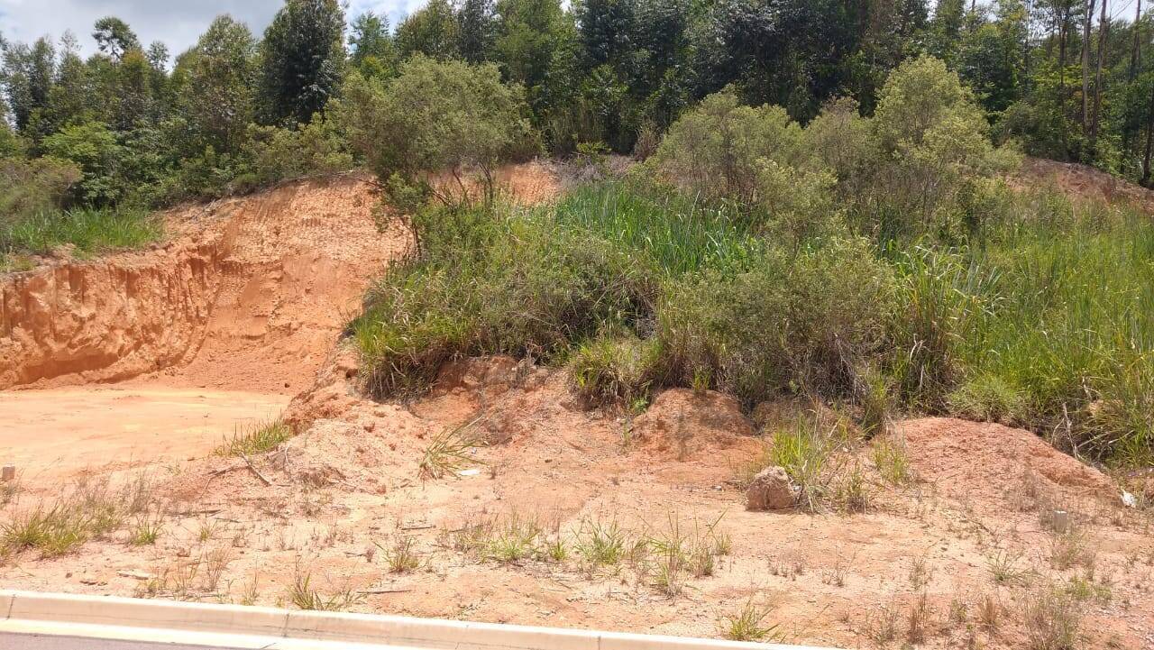 Terreno, 250 m² - Foto 7