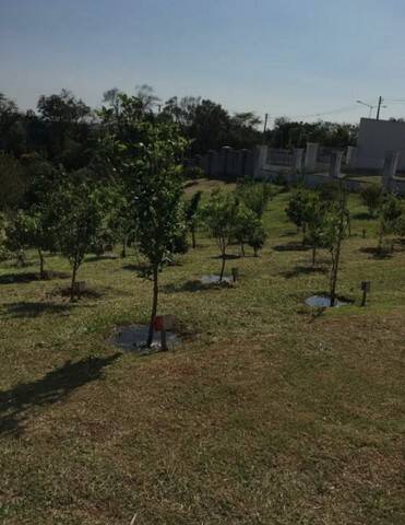 Terreno, 800 m² - Foto 24