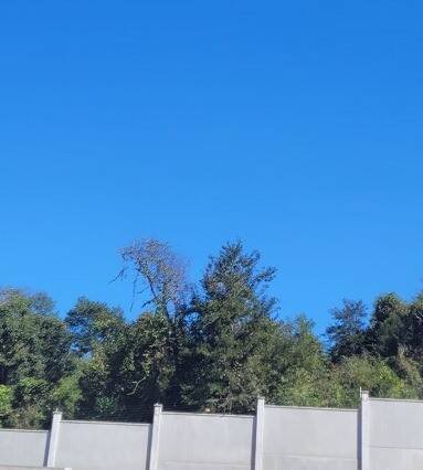 Terreno, 600 m² - Foto 2