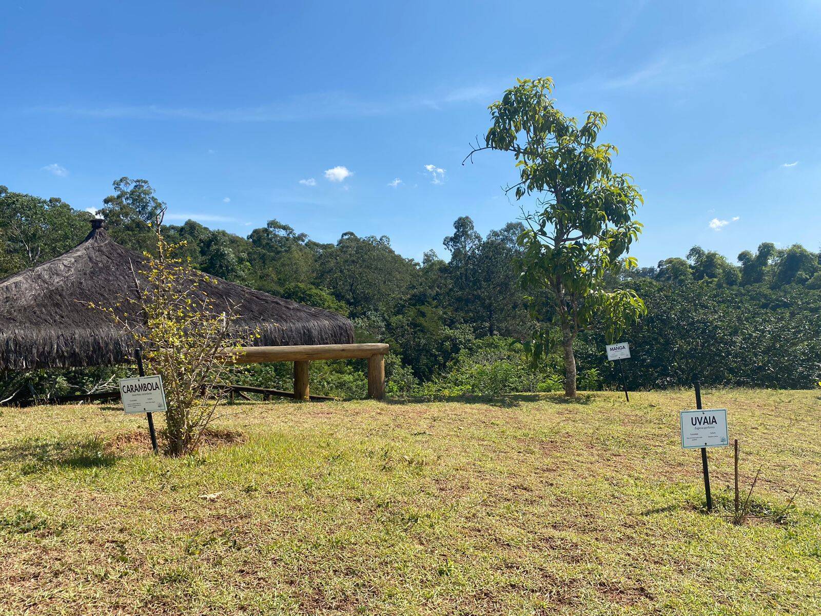 Terreno, 150 m² - Foto 11