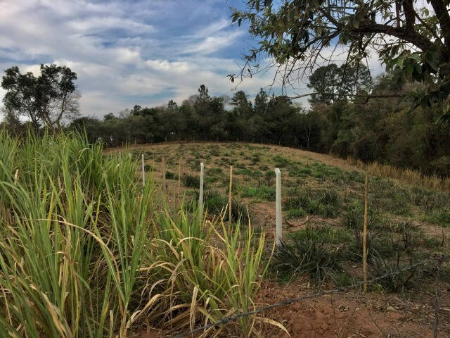 Terreno, 5600 m² - Foto 4