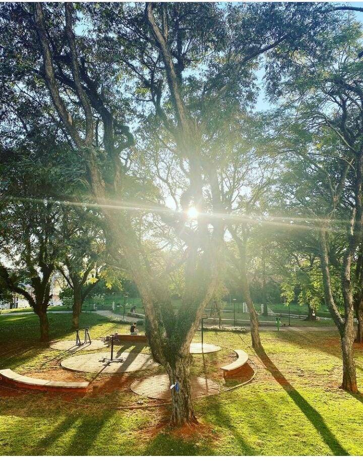 Apartamento, 2 quartos, 57 m² - Foto 25