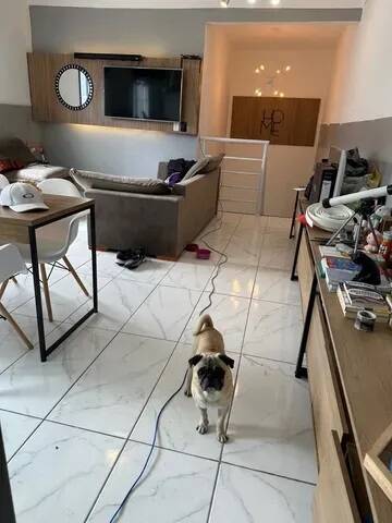 Depósito-Galpão-Armazém à venda com 4 quartos, 135m² - Foto 9