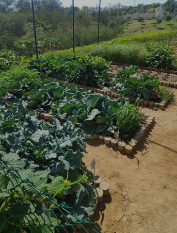 Terreno, 820 m² - Foto 20