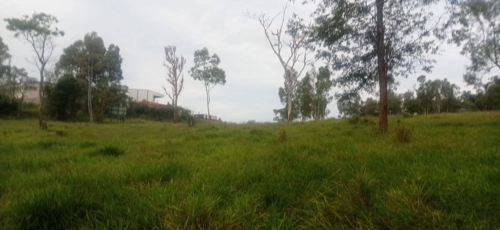 Terreno, 3 hectares - Foto 15