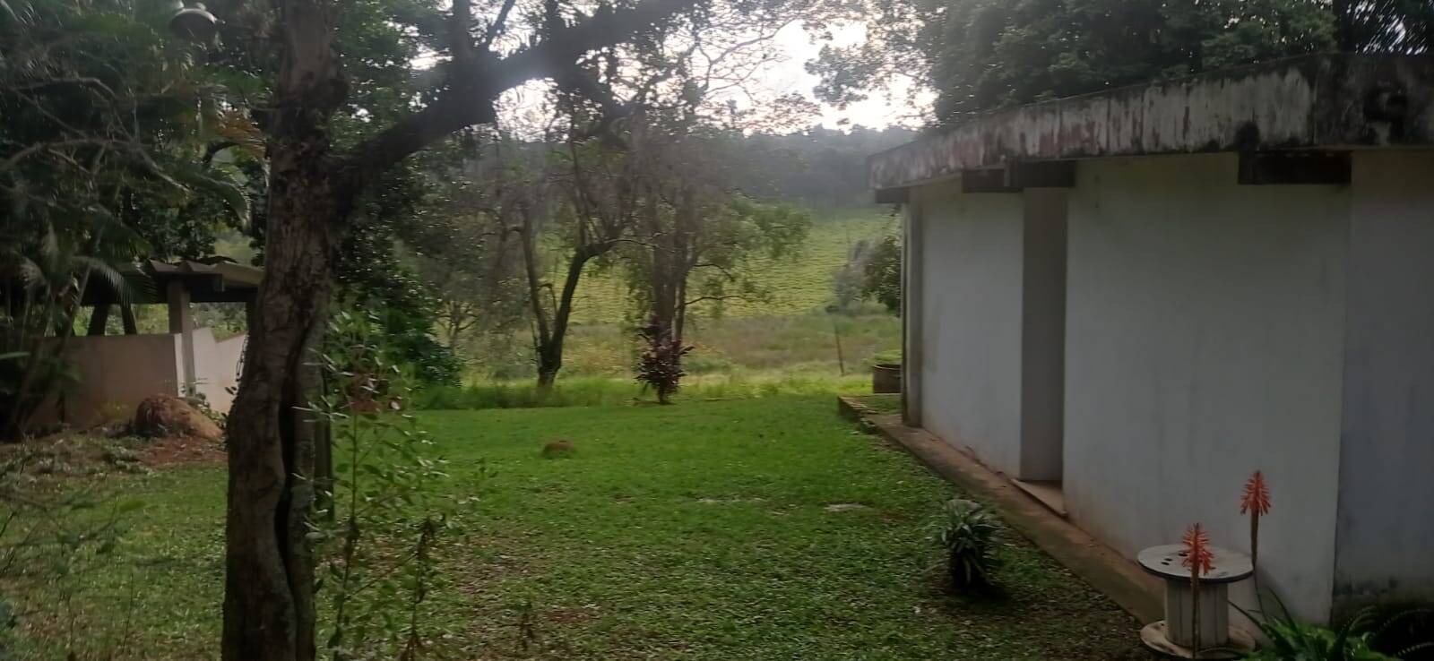 Terreno, 5 hectares - Foto 9