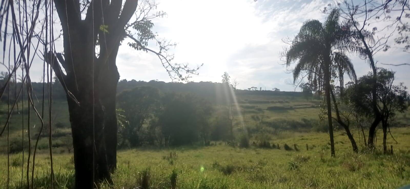 Terreno, 5 hectares - Foto 8