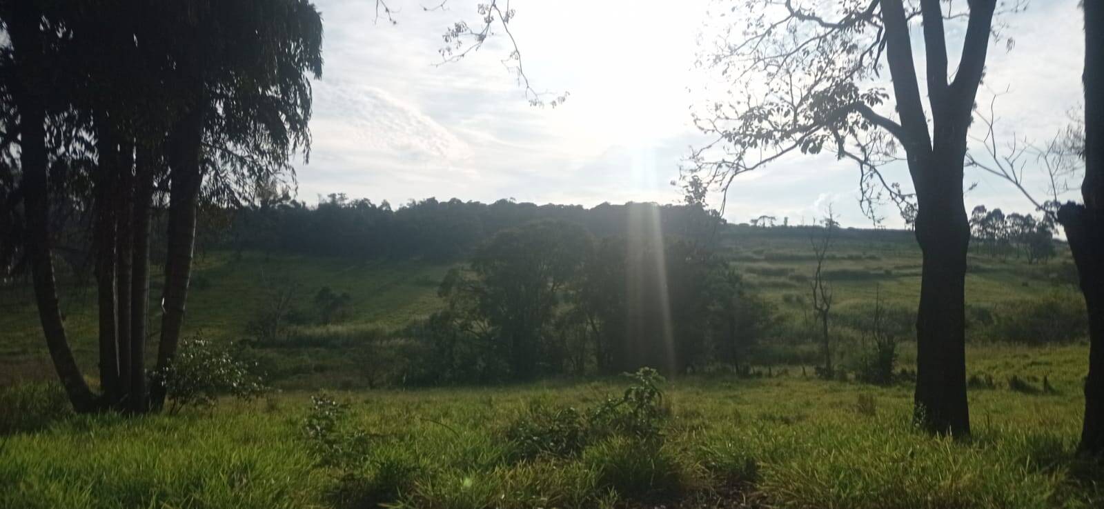 Terreno, 5 hectares - Foto 6