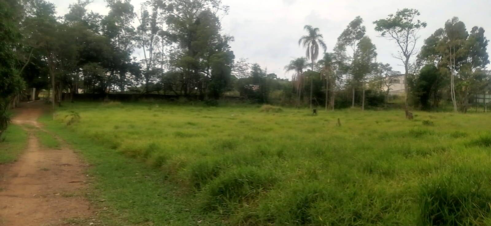 Terreno, 5 hectares - Foto 16