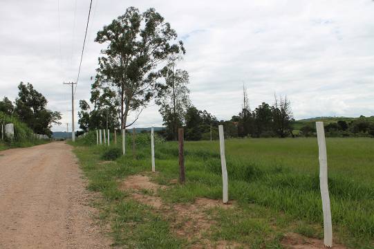 Terreno, 9 hectares - Foto 7