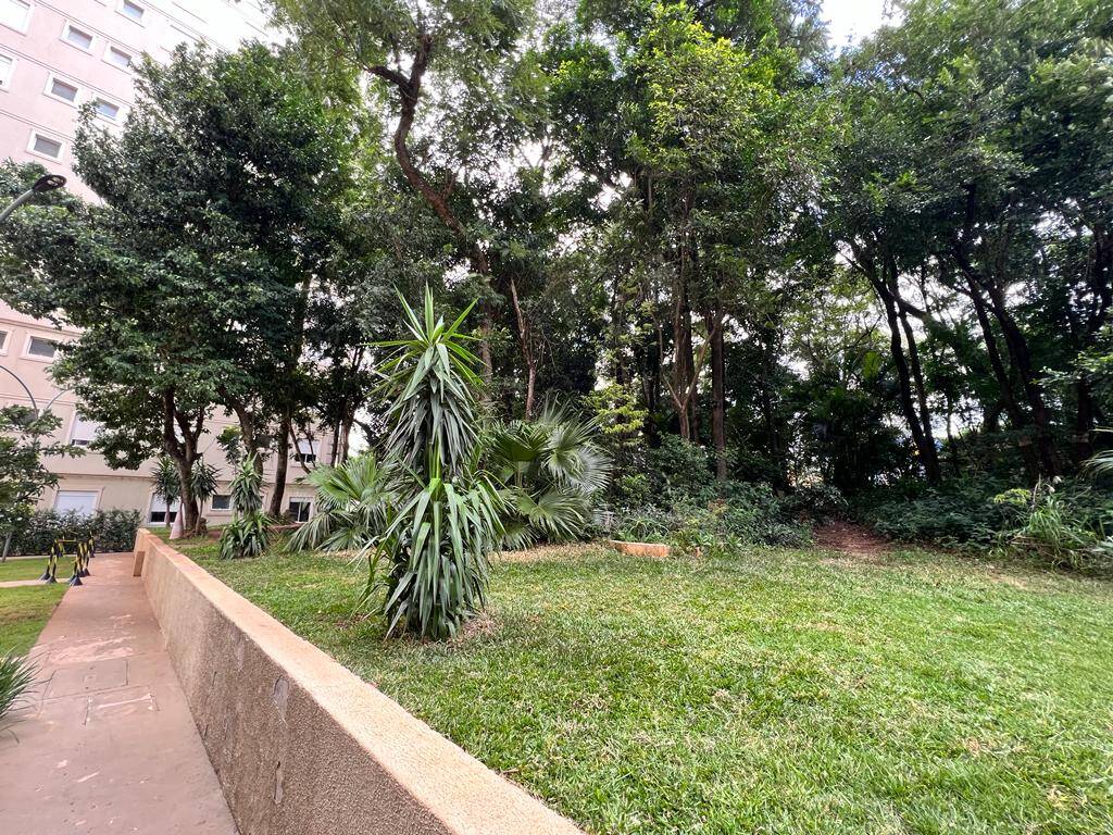 Apartamento, 3 quartos, 80 m² - Foto 28