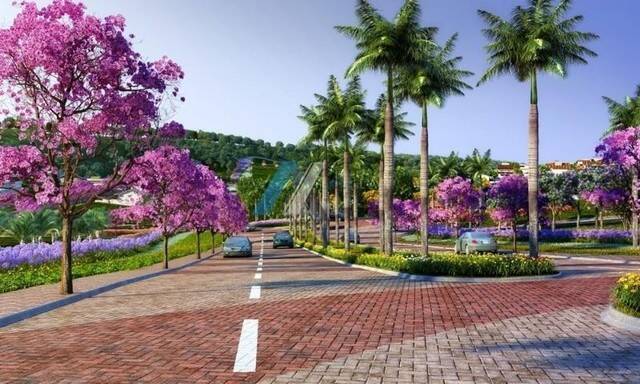 Terreno, 448 m² - Foto 12