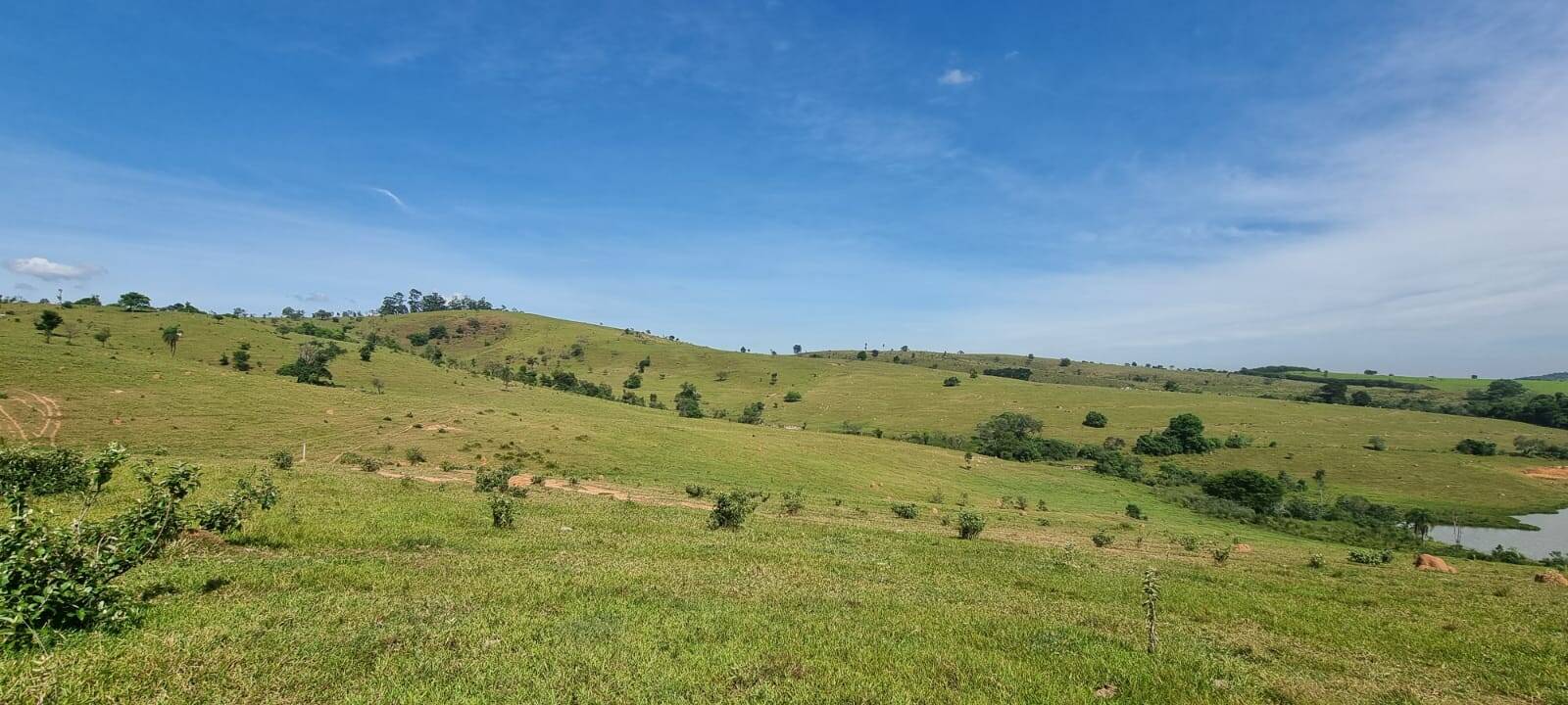 Terreno, 21 hectares - Foto 15