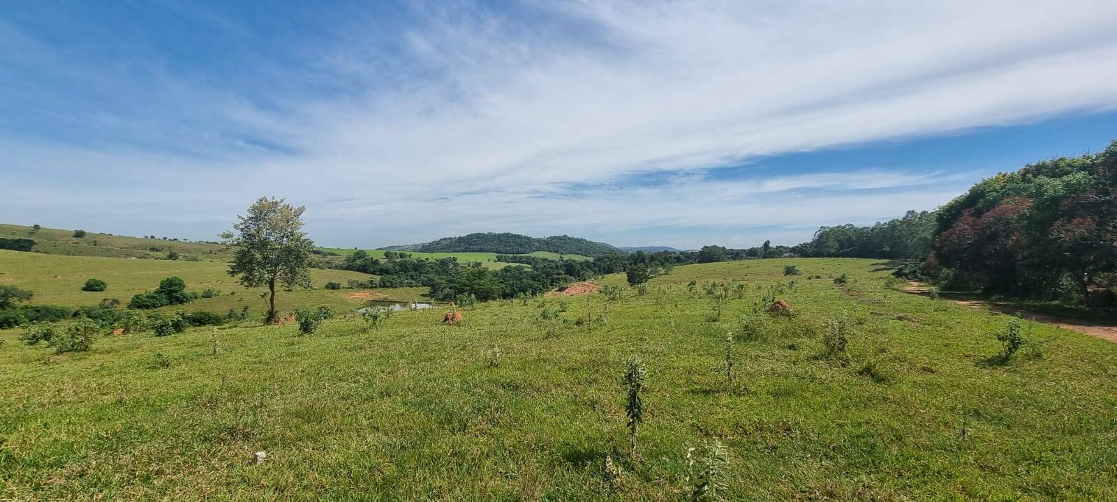 Terreno, 21 hectares - Foto 14