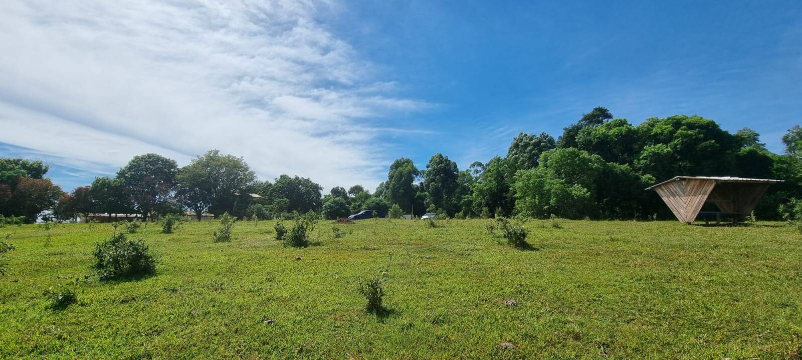 Terreno, 21 hectares - Foto 11