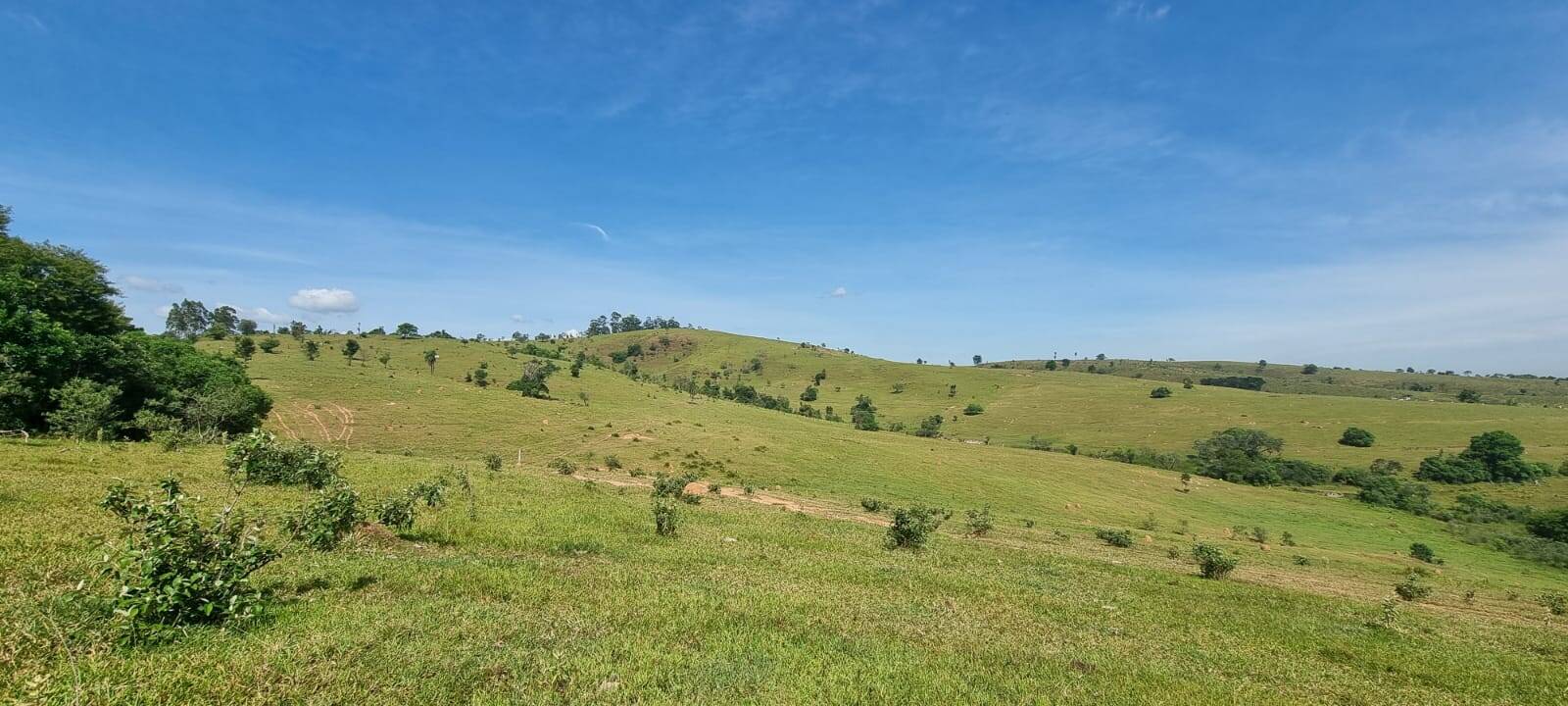 Terreno, 21 hectares - Foto 5