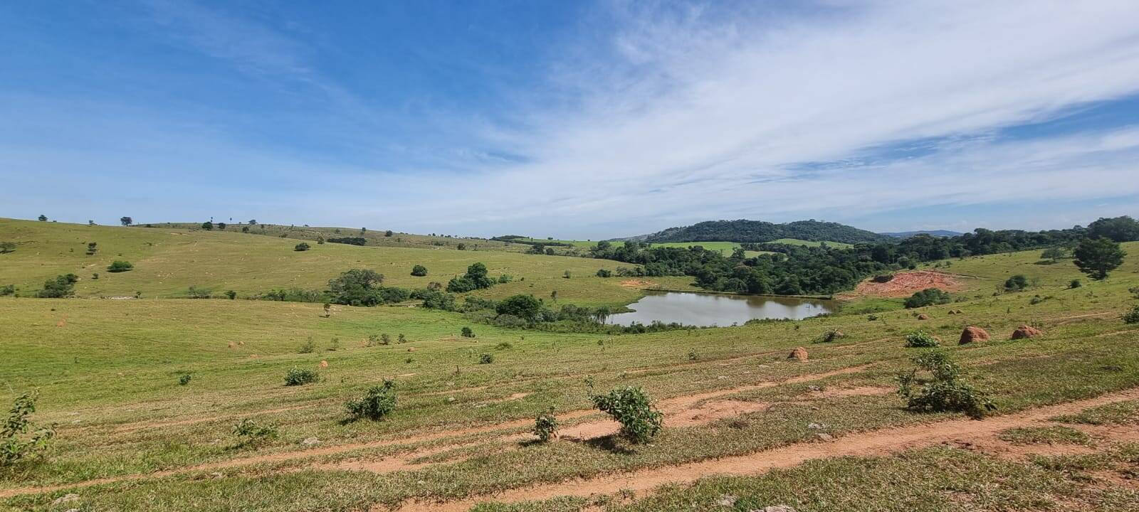 Terreno, 21 hectares - Foto 10