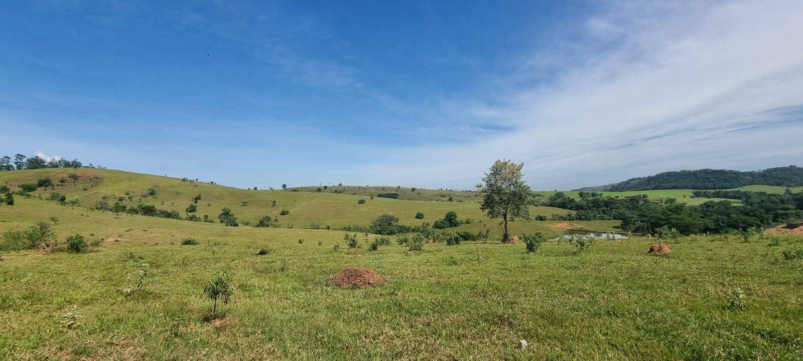 Terreno, 21 hectares - Foto 6