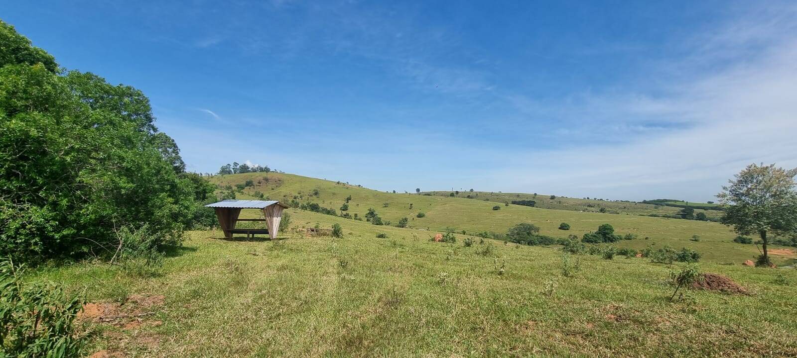 Terreno, 21 hectares - Foto 13