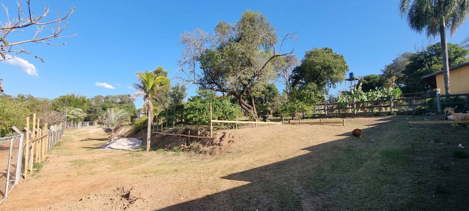 Chácara, 2 quartos, 2 hectares - Foto 15