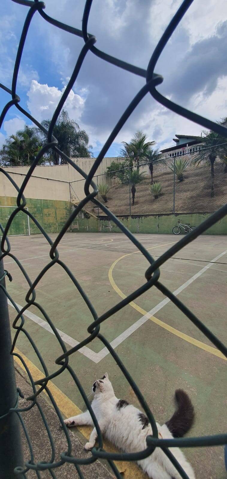 Chácara à venda com 4 quartos, 308m² - Foto 15