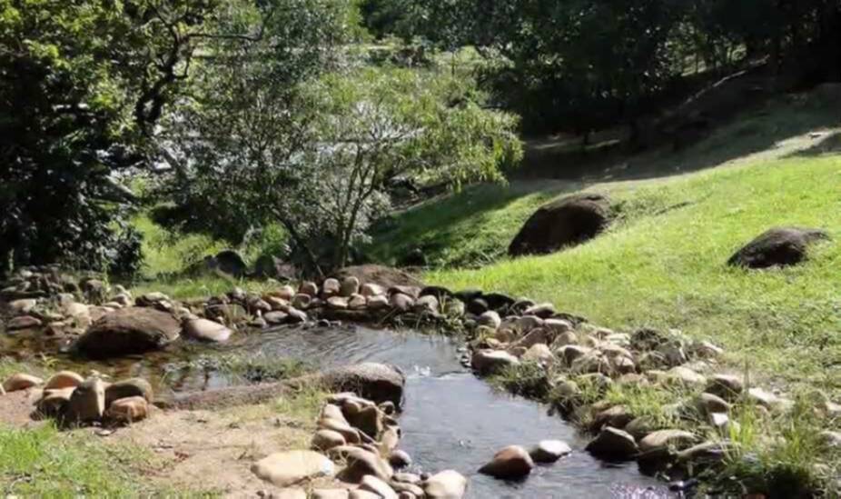 Terreno, 1300 m² - Foto 10