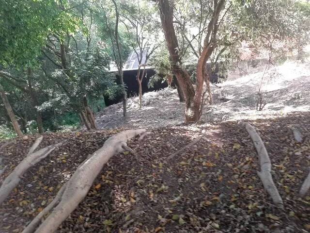 Terreno, 350 m² - Foto 3