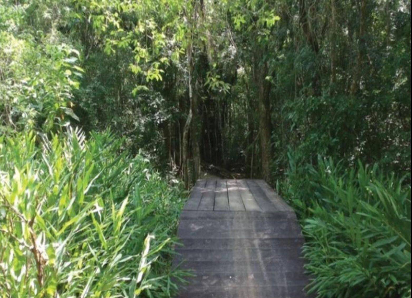 Terreno, 398 m² - Foto 13