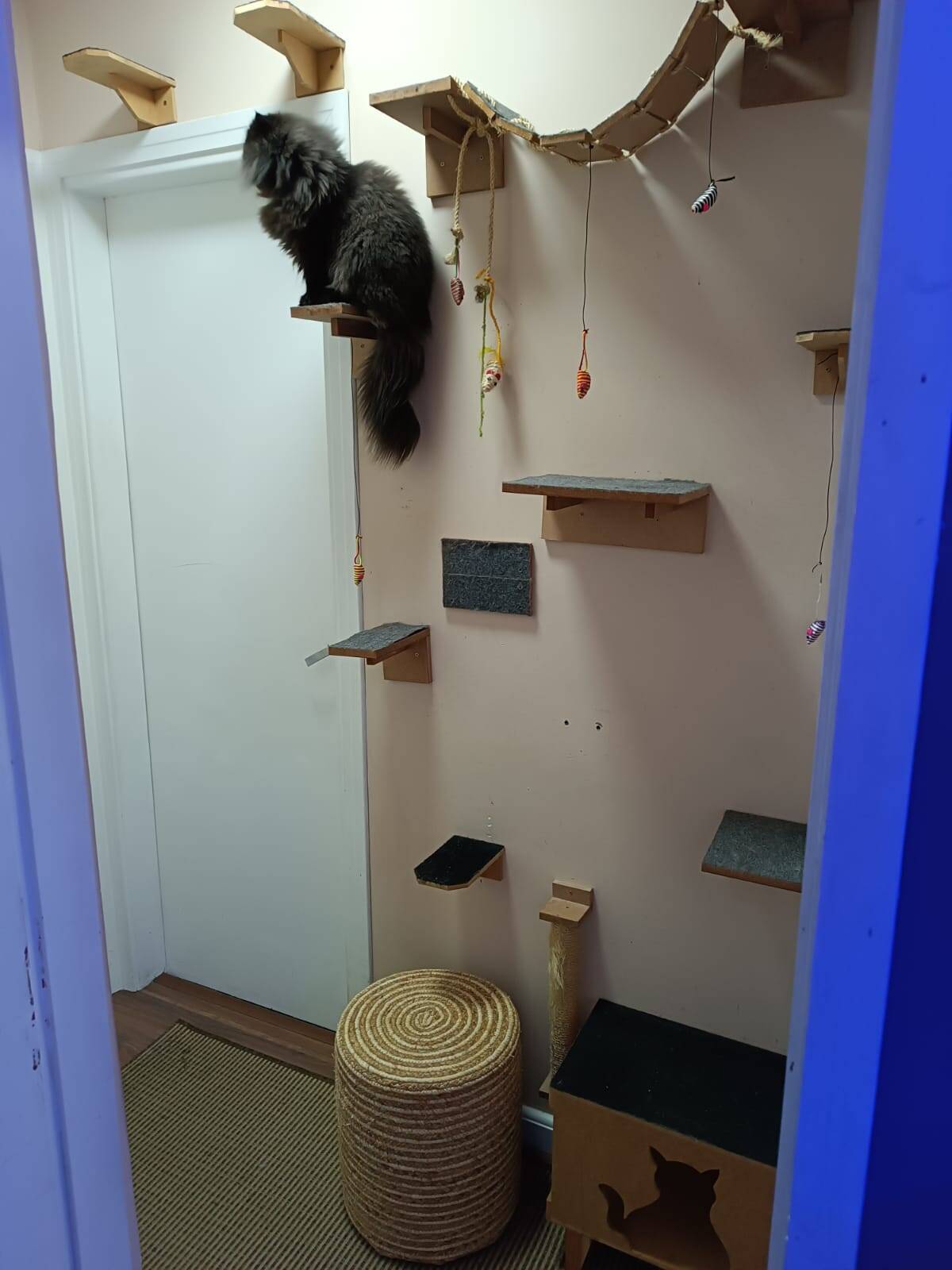Apartamento, 3 quartos, 98 m² - Foto 9