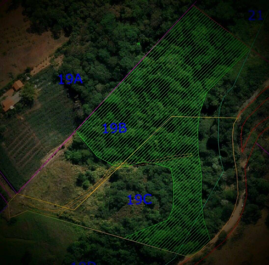 Terreno, 2 hectares - Foto 6