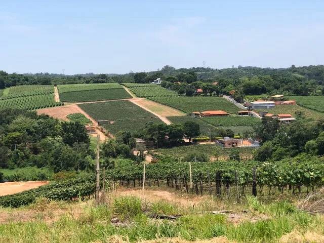 Terreno, 4 hectares - Foto 1