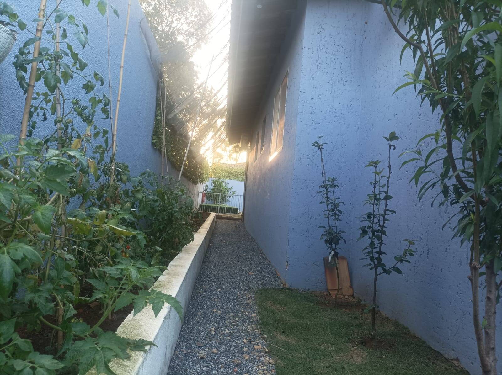 Casa de Condomínio, 3 quartos - Foto 29