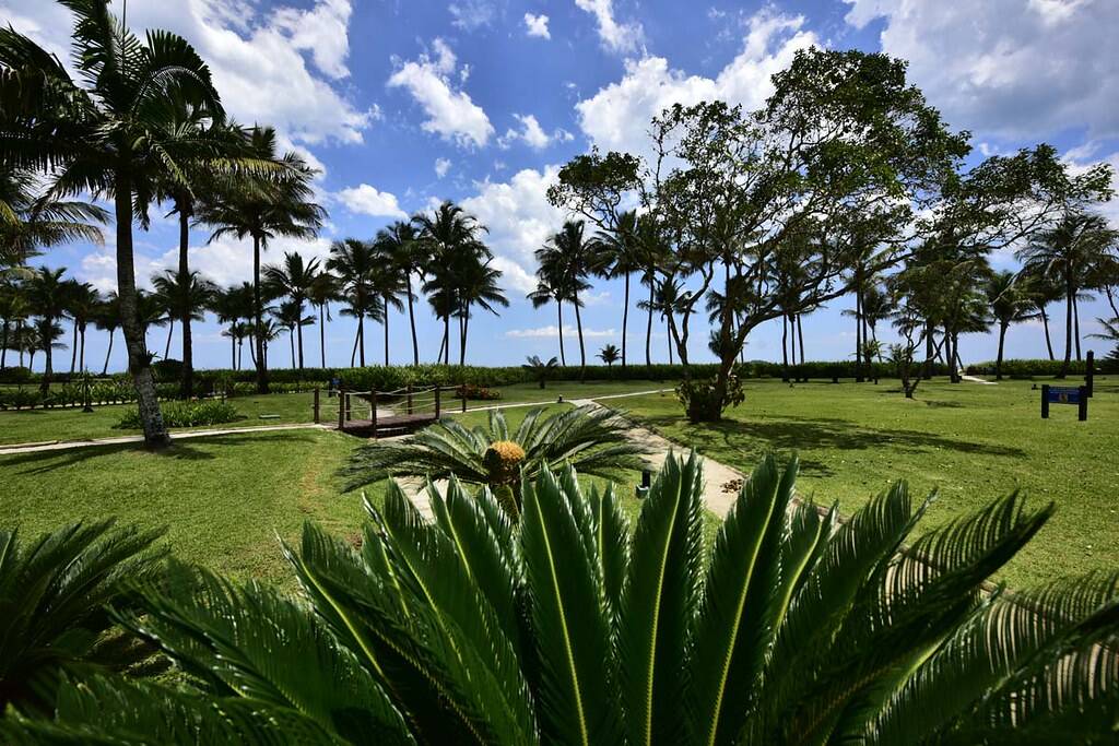 Casa, 6 quartos, 450 m² - Foto 10