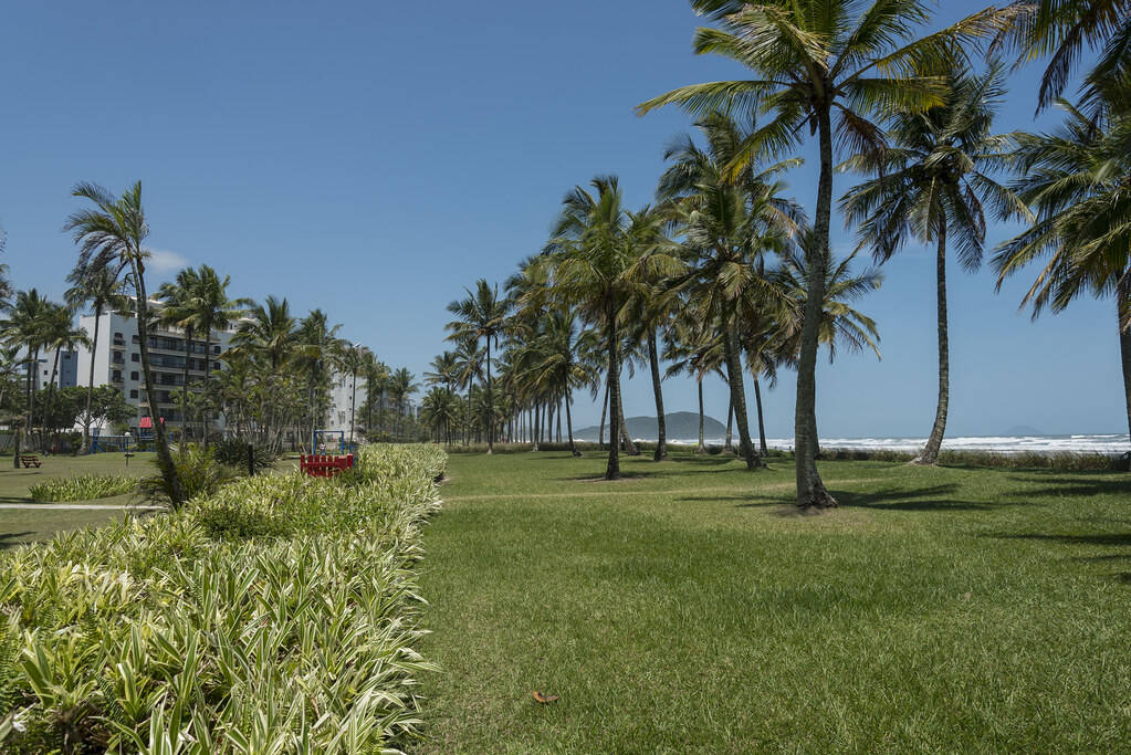 Casa, 6 quartos, 450 m² - Foto 12