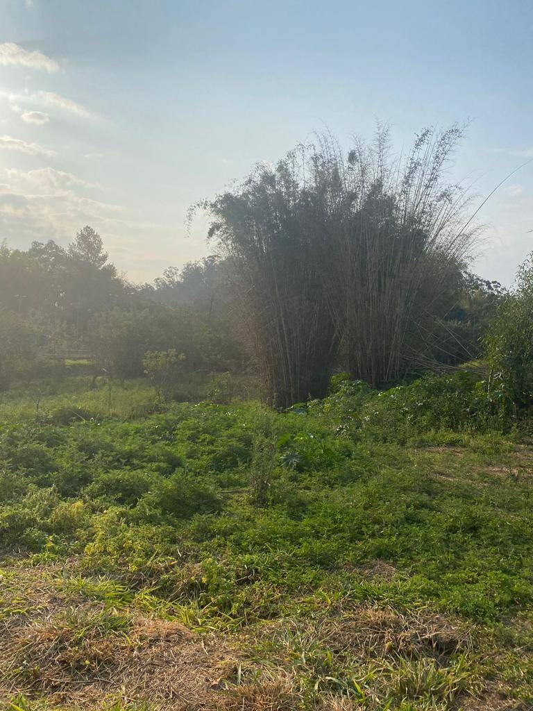 Terreno, 1262 m² - Foto 5