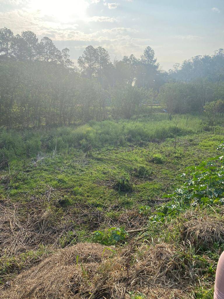 Terreno, 1262 m² - Foto 4