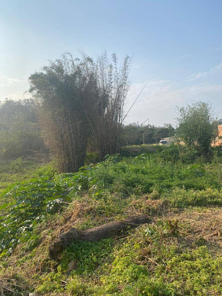 Terreno, 1262 m² - Foto 3