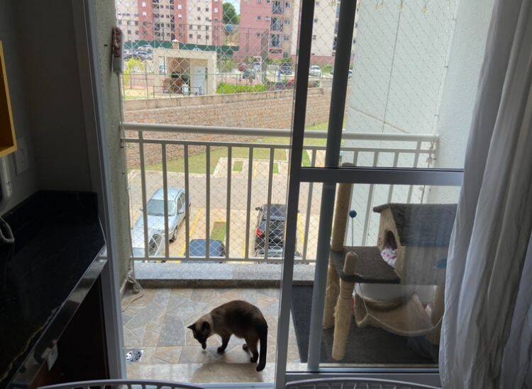 Apartamento à venda com 2 quartos, 62m² - Foto 4