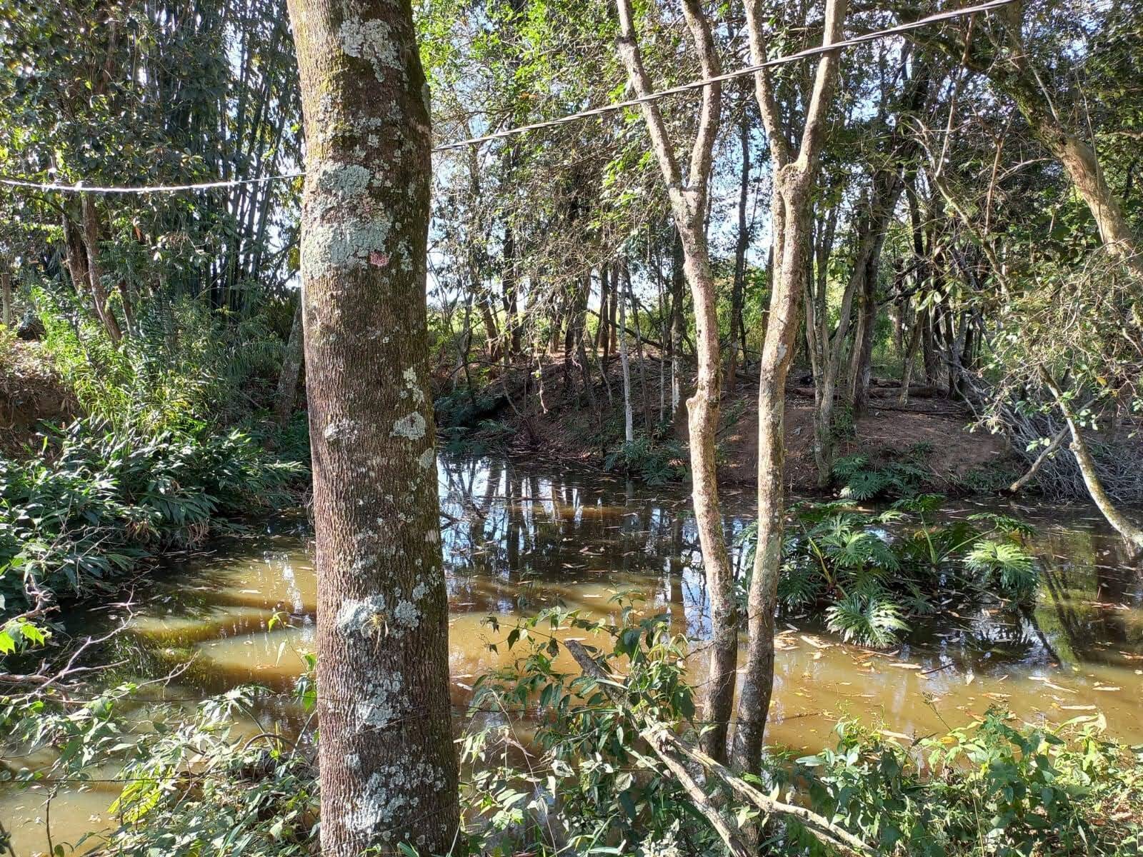 Terreno, 2 hectares - Foto 2