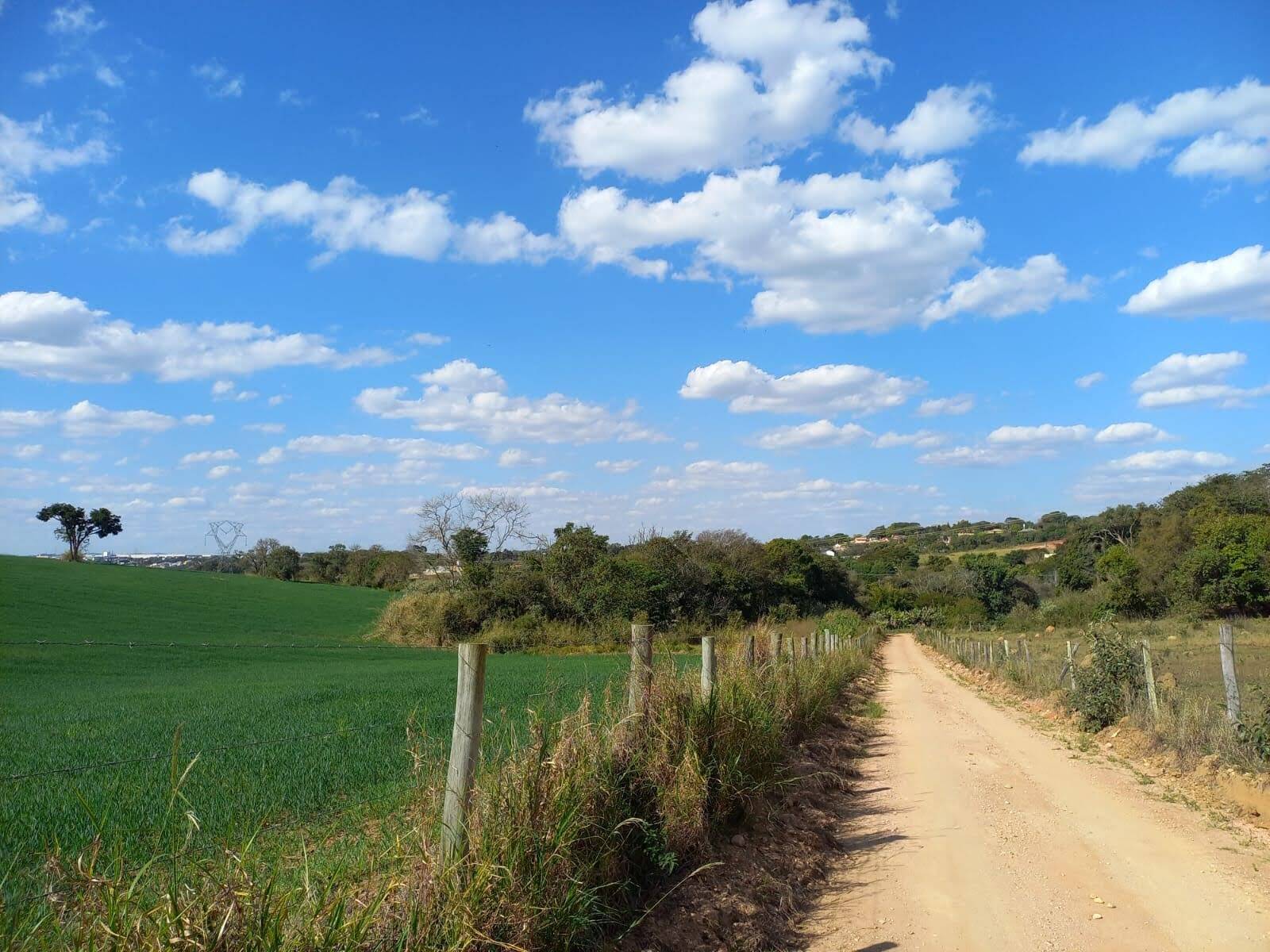 Terreno, 2 hectares - Foto 7