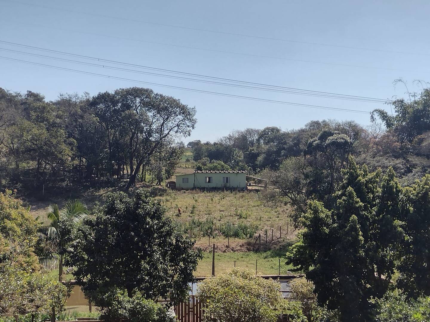 Terreno, 2 hectares - Foto 12