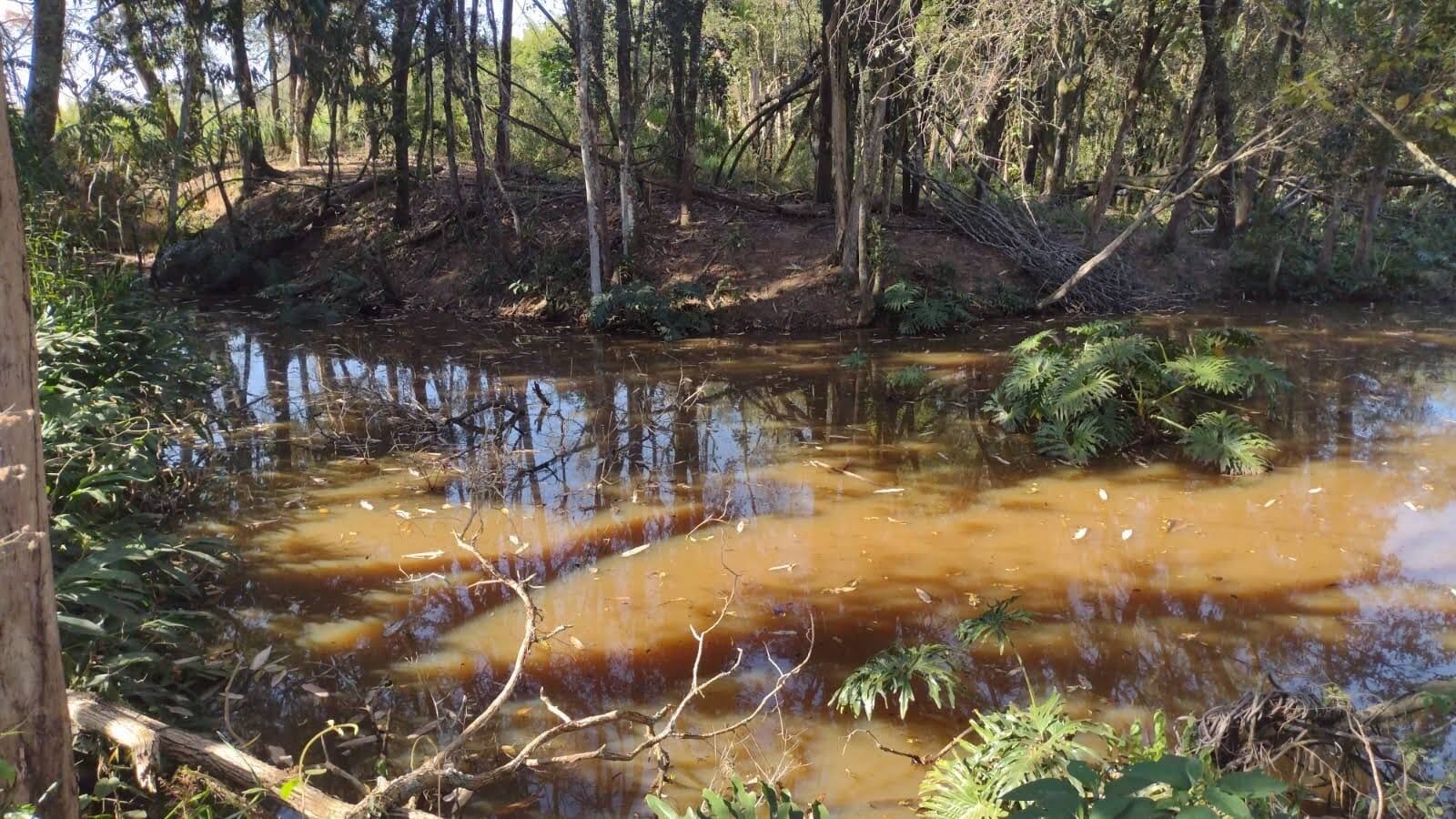 Terreno, 2 hectares - Foto 14