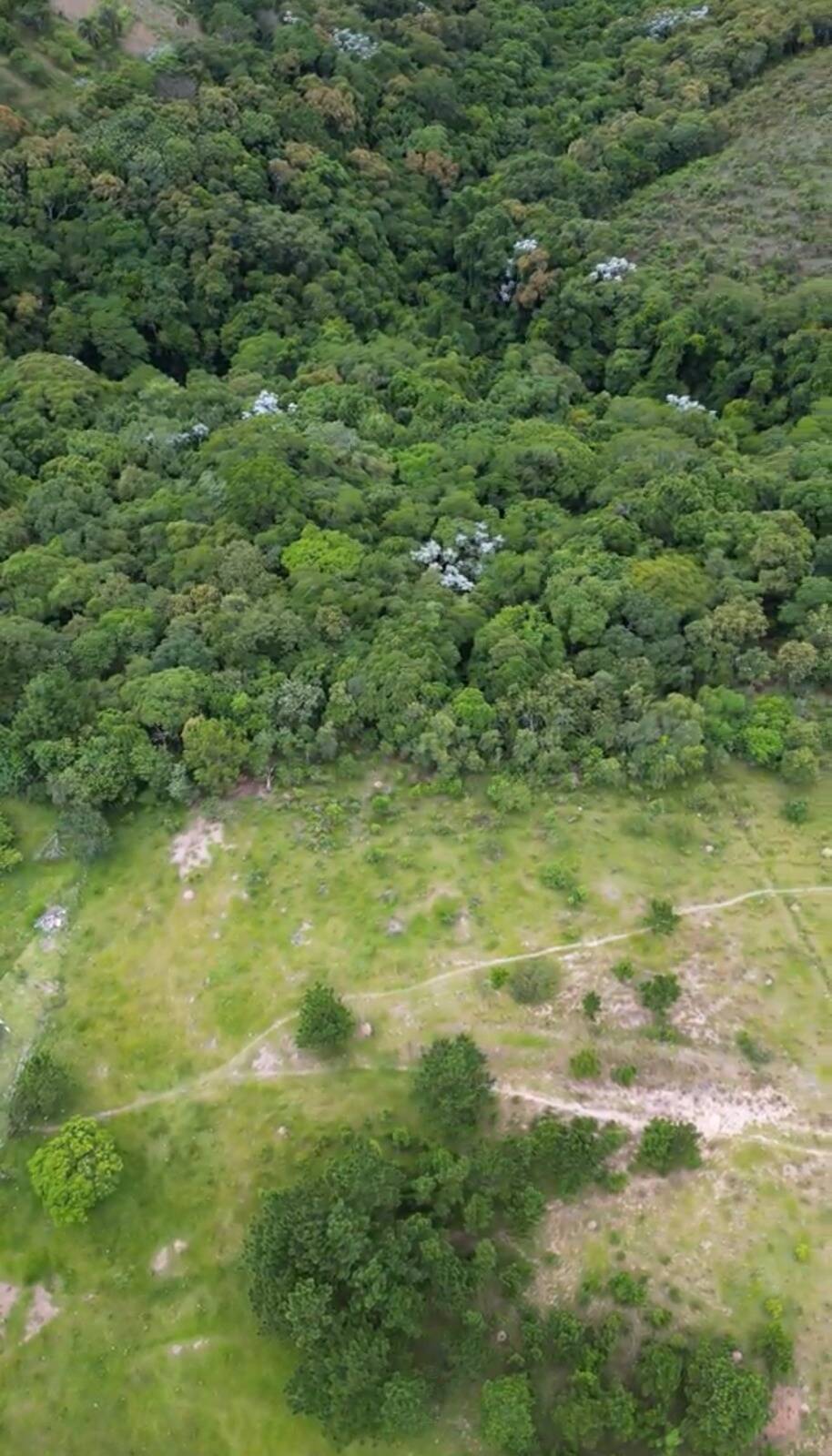 Terreno, 14 hectares - Foto 6