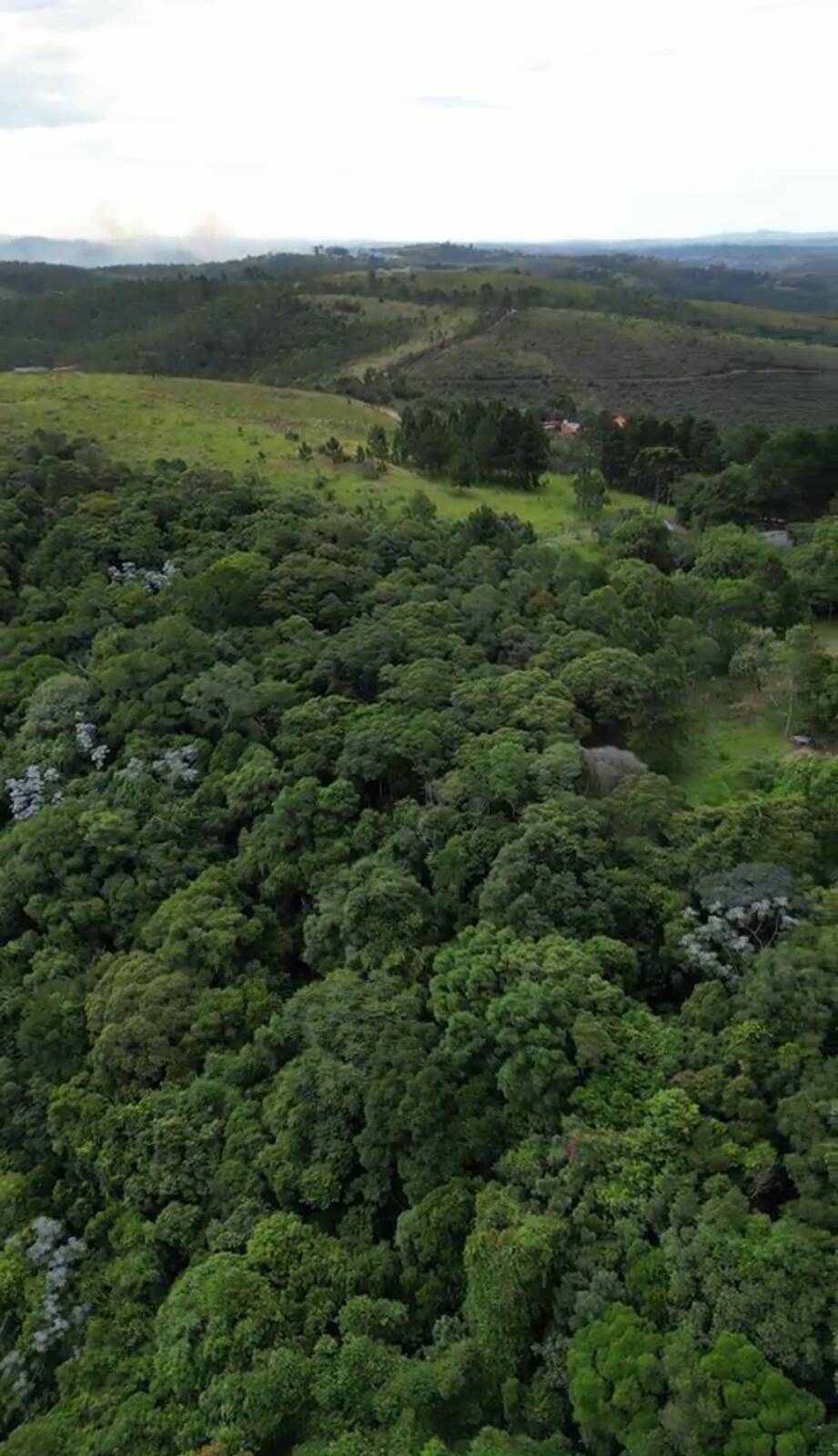 Terreno, 14 hectares - Foto 10